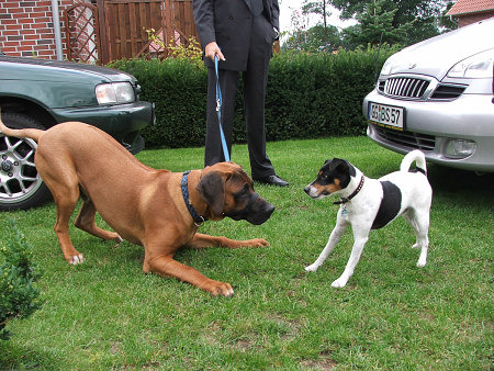 Krümel und Eddie