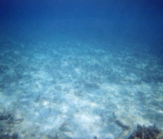 Unter Wasser