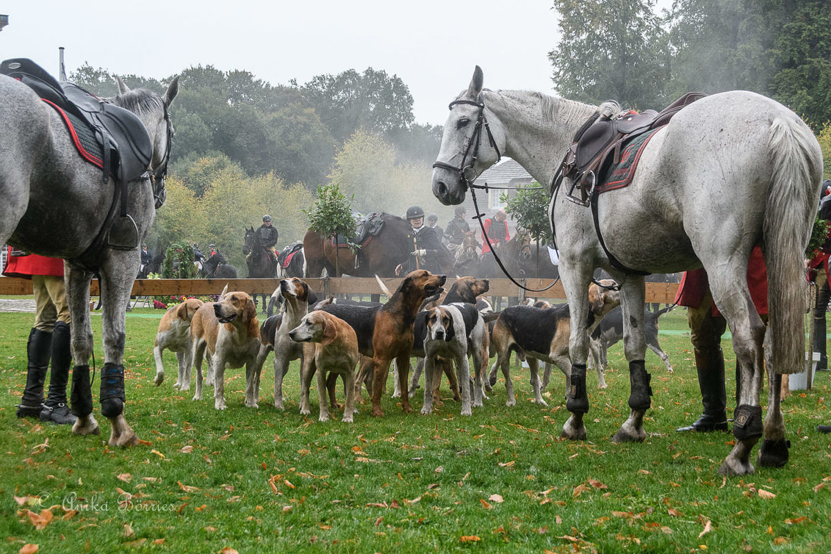 Anika Börries Blickpunkte