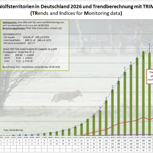 Acht Jahre Wolfspopulationsbeobachtung mit TRIM Wolfspopulation_2026-09-18